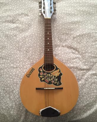Mandolino piatto