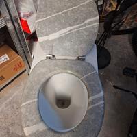 set di bide e gabinetto 