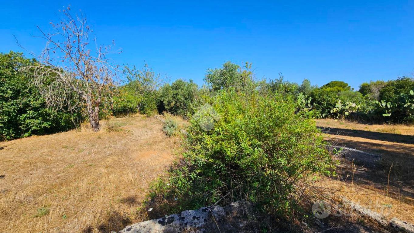 RUSTICO A GALATONE - Vista 4