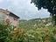 Immagine 19