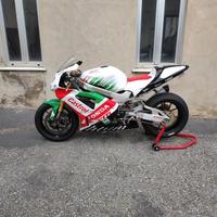 Honda VTR 1000 - 2000