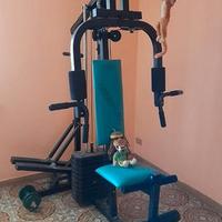 Panca professionale lineaflex
