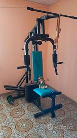 Panca professionale lineaflex