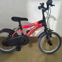 bici lombardo 14 