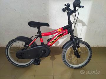 bici lombardo 14 