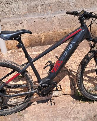 bicicletta 