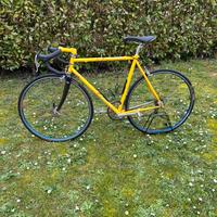 Bici da corsa Pinarello vintage