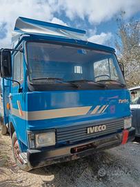 iveco 50.9