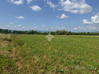 TER. AGRICOLO A PONTE BUGGIANESE