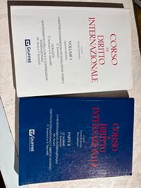 corso di diritto internazionale 1 e 2