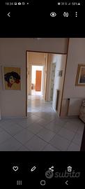 La casa di Ali