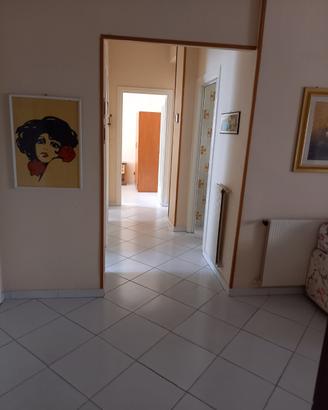 La casa di Ali