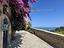 Immagine 29