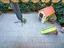 Immagine 21