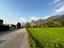 Immagine 19