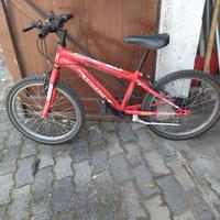 bicicletta da bambino 
