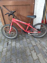 bicicletta da bambino 