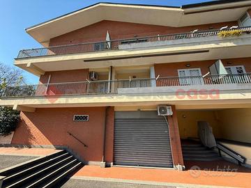 Negozio Albano Laziale [720ACG]