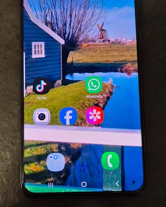 cellulare samsung 21 gb 256