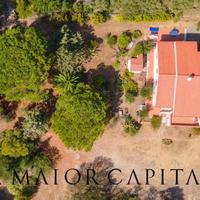 San Teodoro | Li Scopi | Villa singola immersa nel