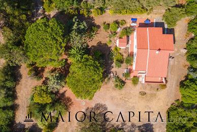 San Teodoro | Li Scopi | Villa singola immersa nel