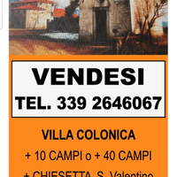 Ex proprietà conti Di Thiene