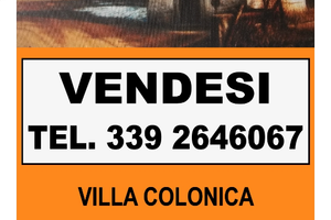 Ex proprietà conti Di Thiene