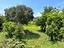 Immagine 26