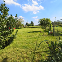 Terreno agricolo busto Arsizio