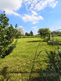 Terreno agricolo busto Arsizio