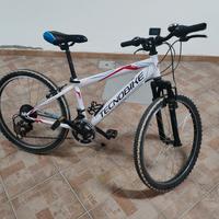 Bici Tecnobike