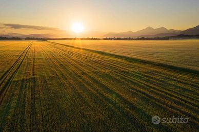 Terreno di 850000 m² a Mogliano Veneto