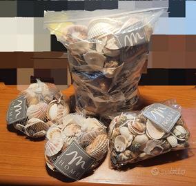 2,6 kg Conchiglie decorative MERCURY HOME