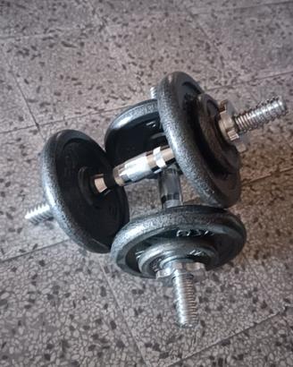 Pesi con manubri