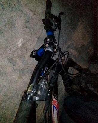 Mountain bike