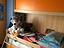 Immagine 2