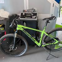 Bianchi Methanol 29,5 carbonio