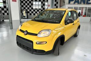 FIAT Panda 3ª serie Panda 1.0 FireFly S&S Hybrid