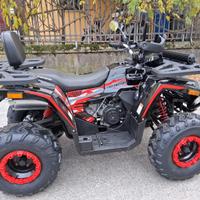 MAXI QUAD SHARK 200 RUOTE 10
