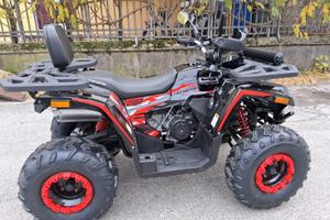 MAXI QUAD SHARK 200 RUOTE 10