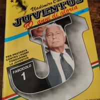 Lotto Fascicoli "Juventus: 90 anni di gloria" - Vl