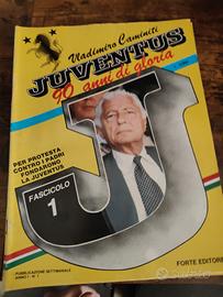 Lotto Fascicoli "Juventus: 90 anni di gloria" - Vl