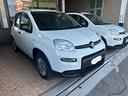 fiat-panda-1-0-s-s-hybrid-van-2-posti