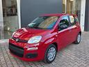 fiat-panda-1-0-hybrid-adas-my-25-pack-city-km0