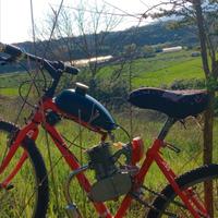 motore per bici 100cc 2T