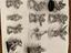 Immagine 6