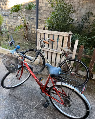 Coppia di bici da citta/vintage
