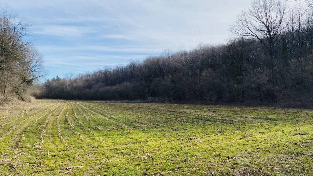 Immobile in asta di 19946 m² a Rosta - Vista 3