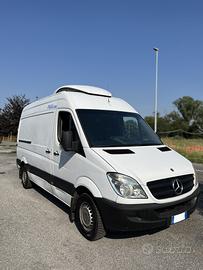 Mercedes Sprinter 313 CDI Isotermico Frigo