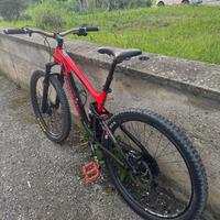 Bici da enduro